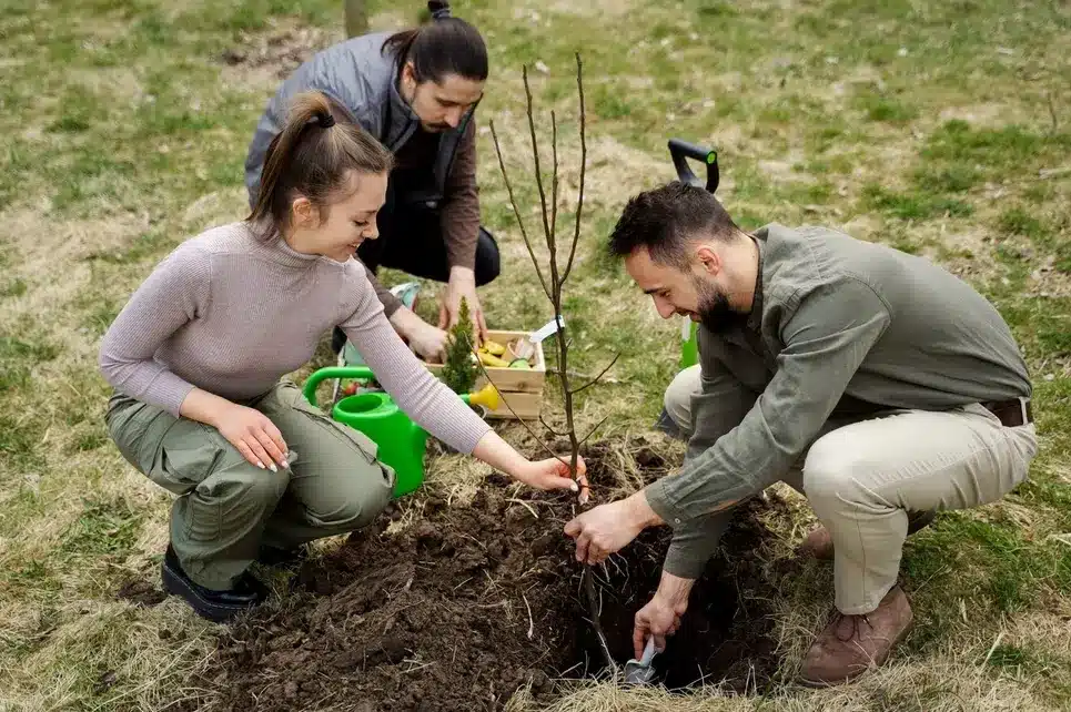Choosing the Best Varieties: Planting Fruit Trees in Your Garden