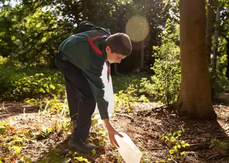 Essential Care: How to Keep Your Fruit Trees Strong and Productive