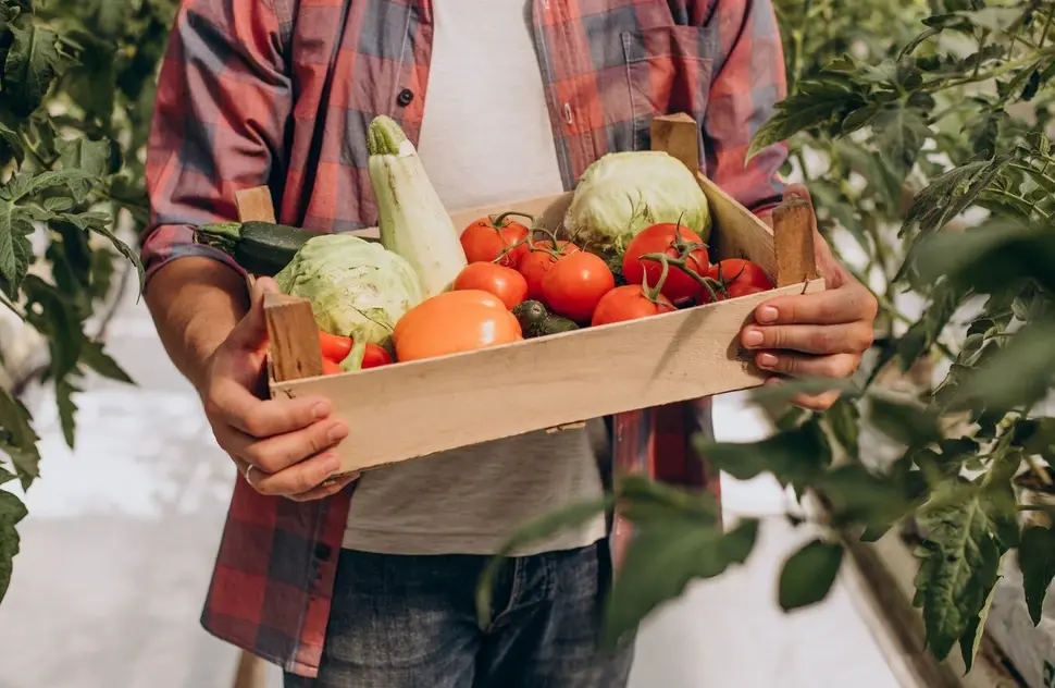 Organic Fruit Trees: Cultivation Practices Free from Chemicals