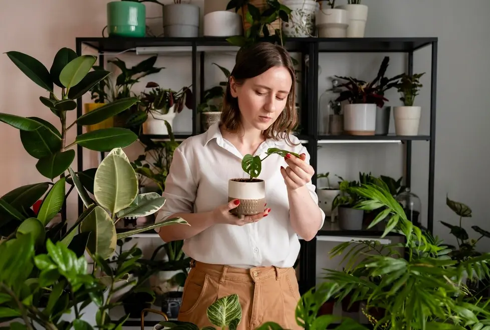 The Green Revolution at Home: Planting Fruit Trees for a More Sustainable World
