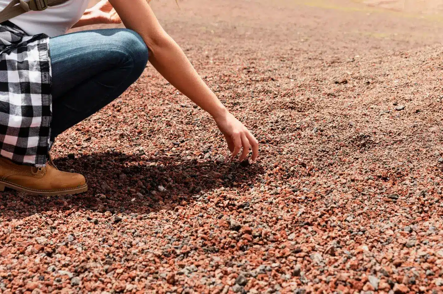 Soil Health: Tips for Preparing the Perfect Soil for Fruit Trees