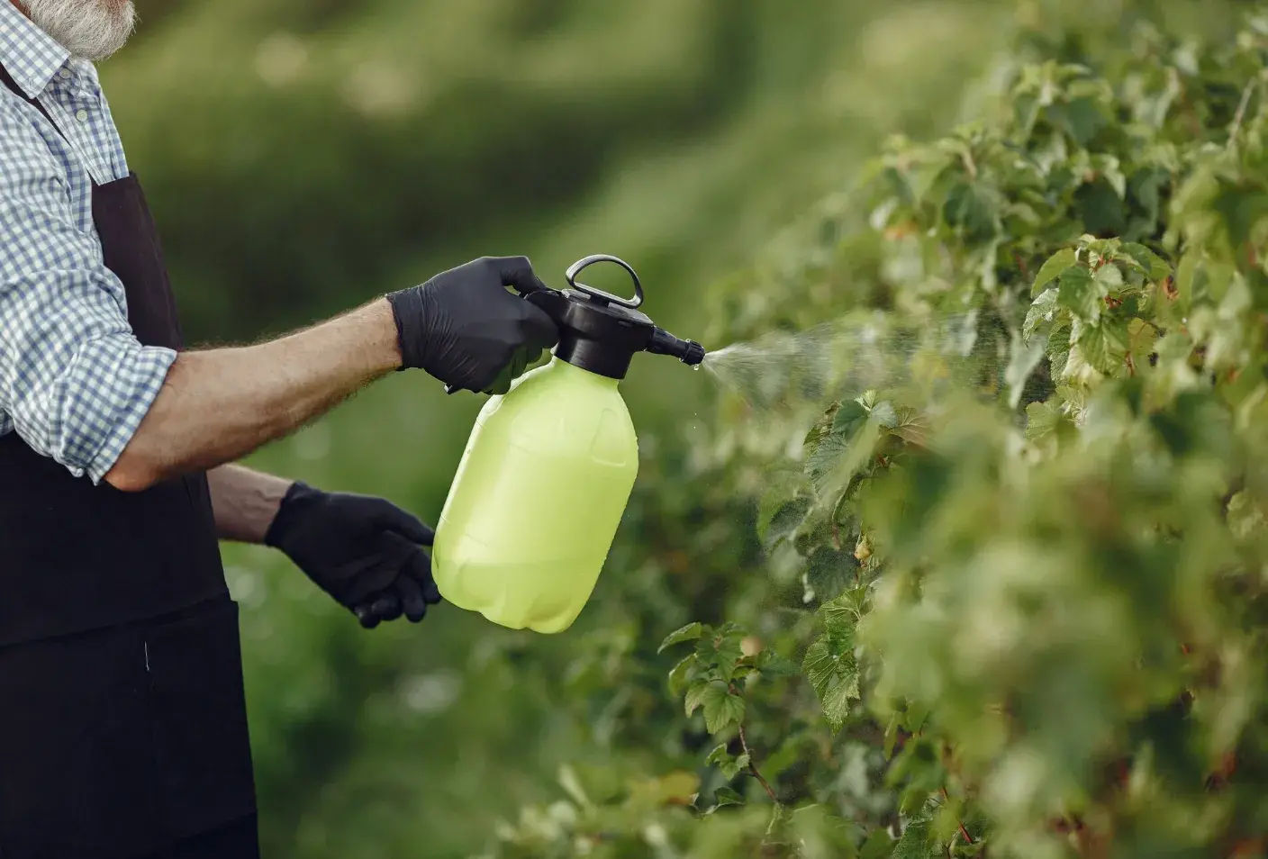 DIY Fertilizers: Natural Solutions for Feeding Your Fruit Trees