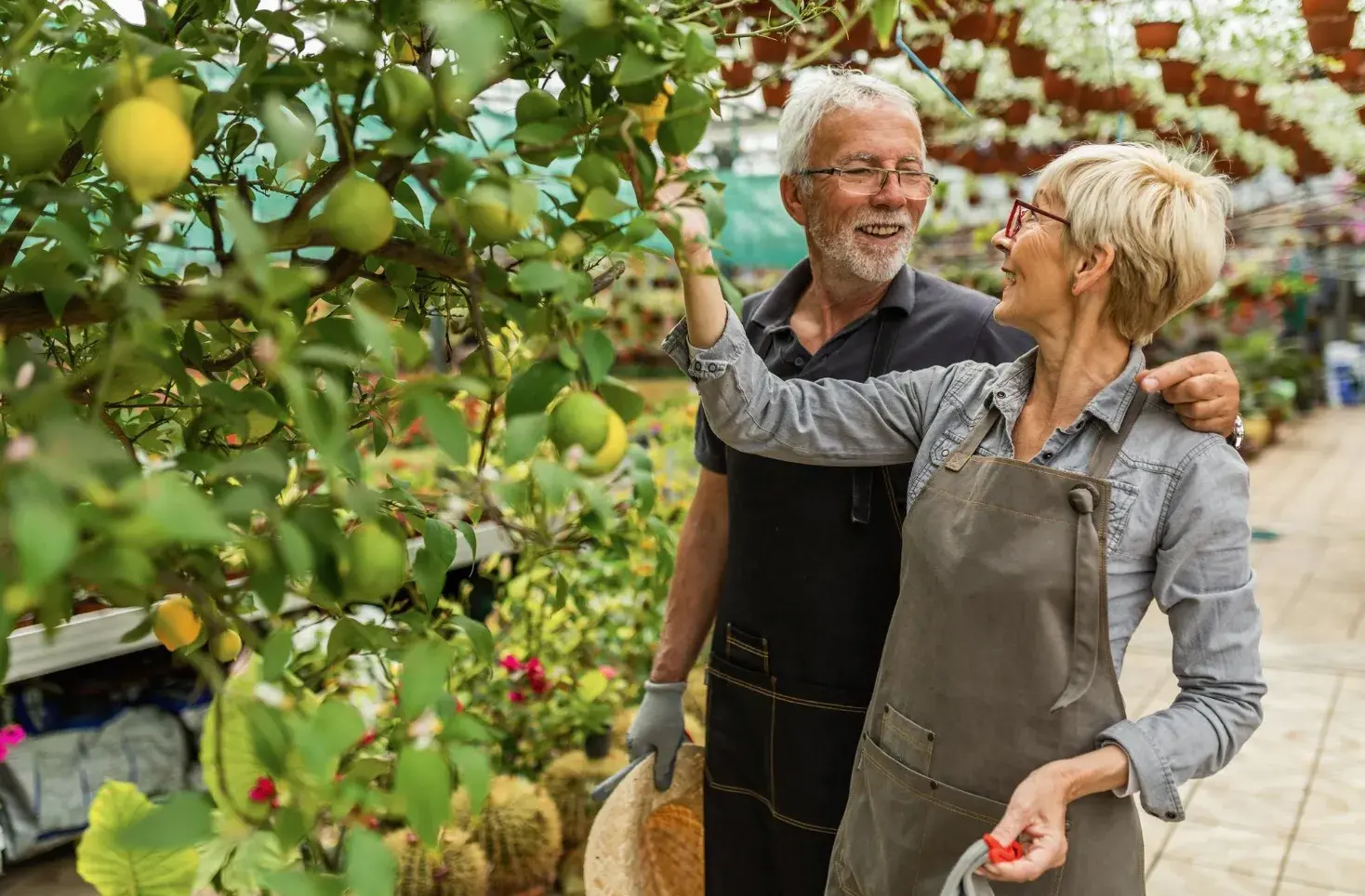 Exotic Fruit Trees: How to Grow Unique Species in Your Garden