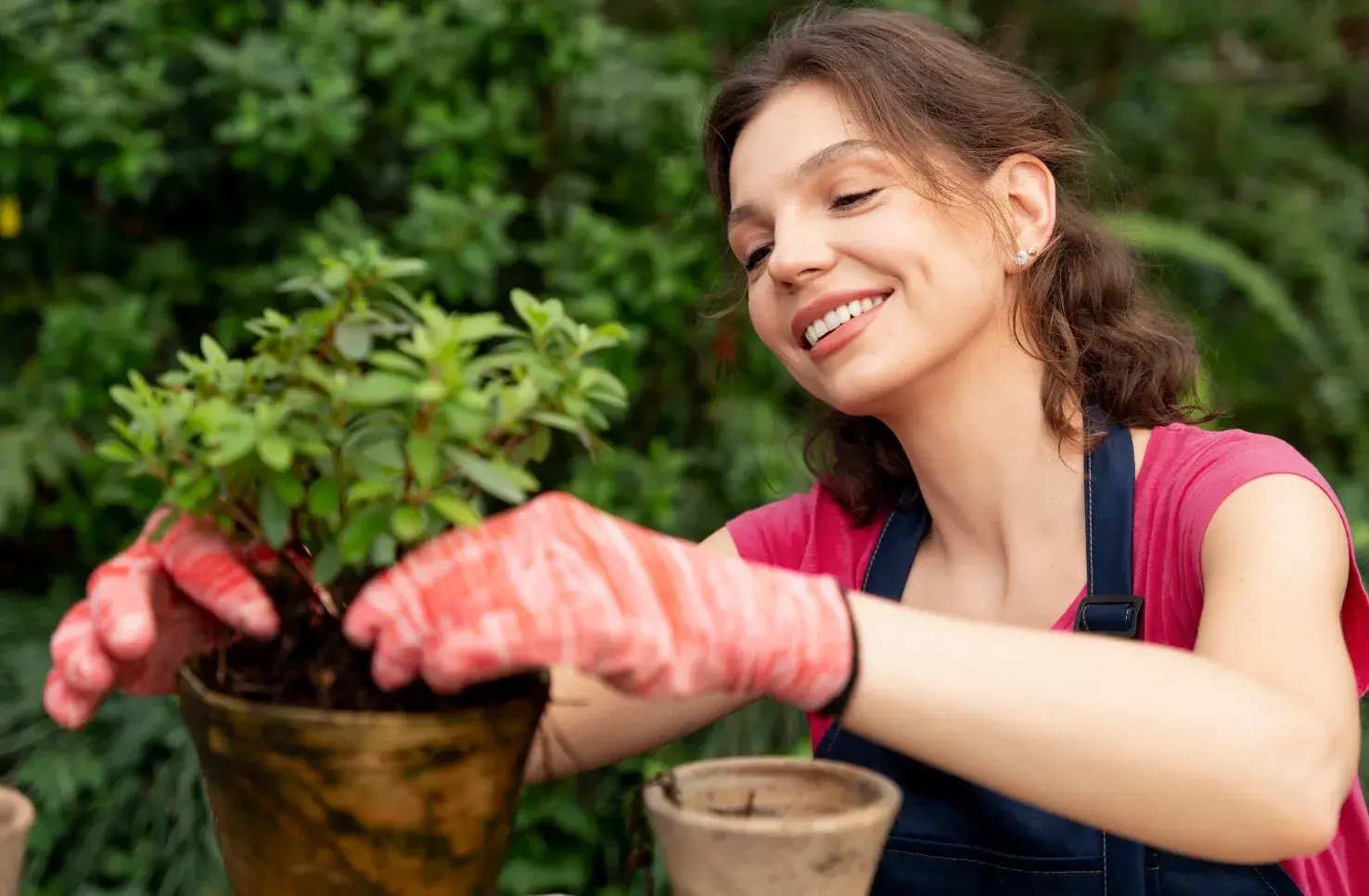 Protecting Your Fruit Trees from Pests and Diseases