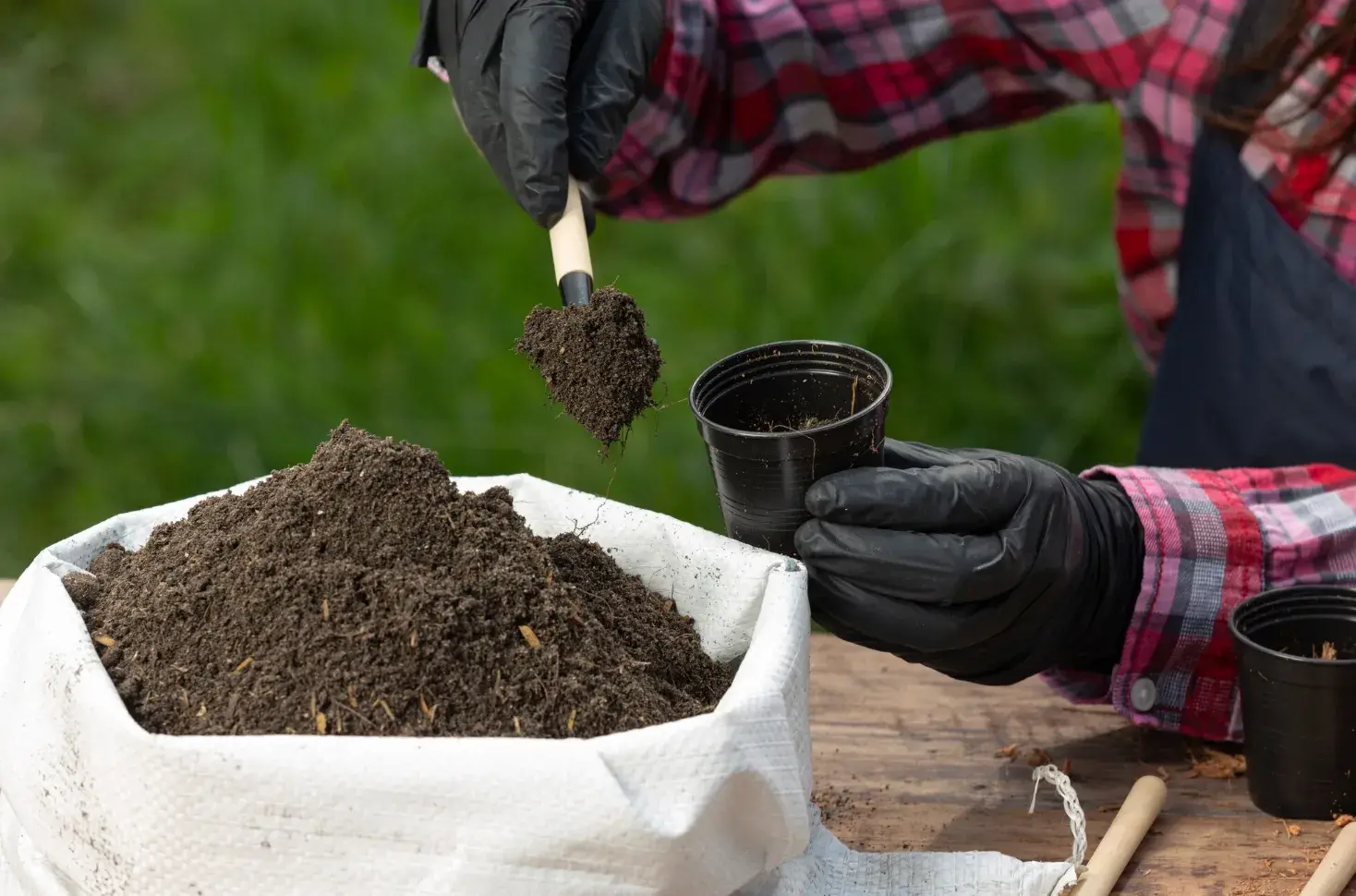 Fertilizing Fruit Trees: Essential Nutrients for a Good Harvest