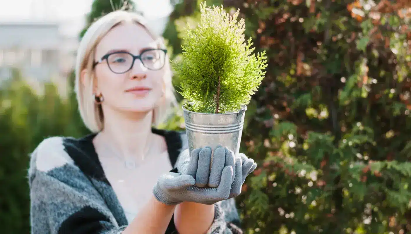 The Benefits of Growing Your Own Fruit at Home
