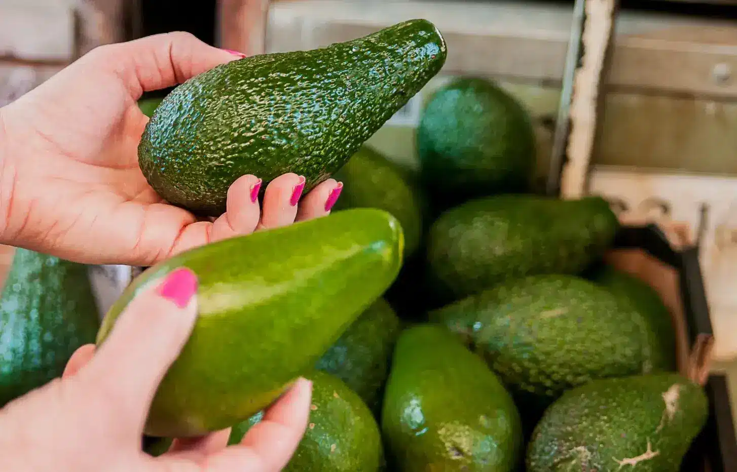 Tropical Fruit Trees: Tips for Growing Mangoes, Avocados, and More