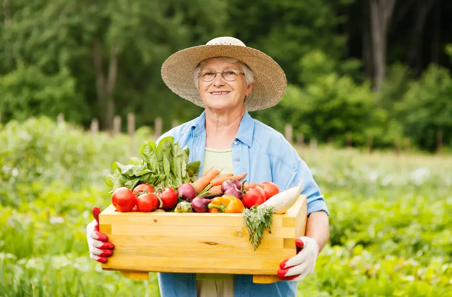 Harvesting and Storage: How to Preserve the Fruits from Your Orchard