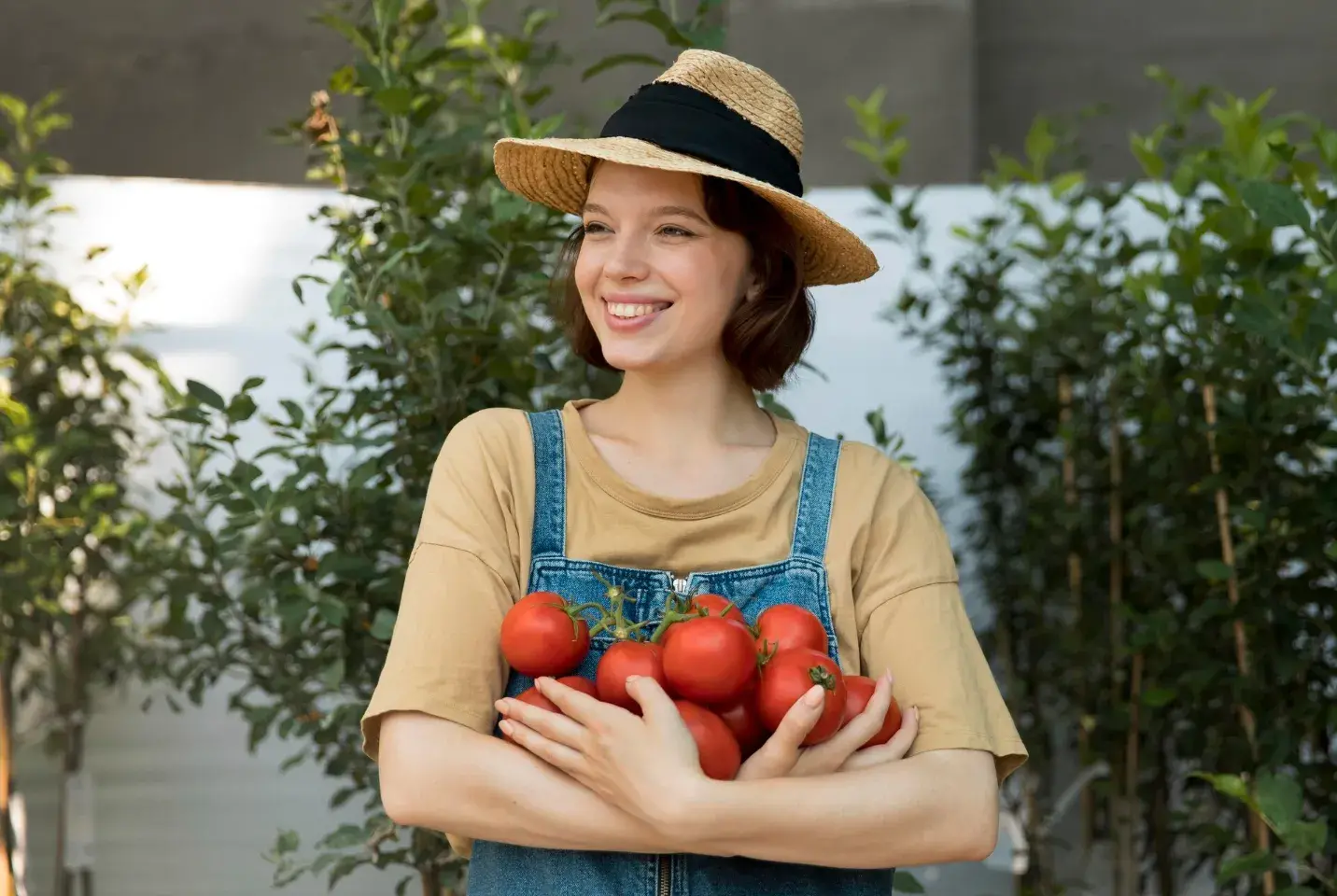 The Best Fruit Trees for Small Backyards