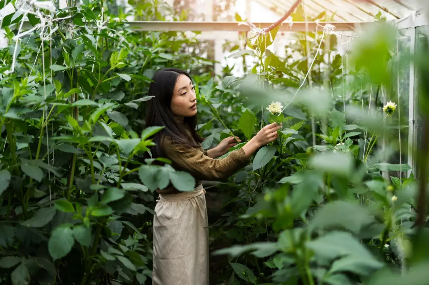 How to Grow Fruit Trees in Pots and Vertical Gardens